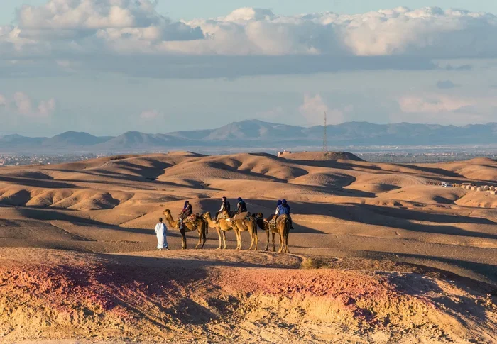 Casablanca to Agafay Day Trip Price