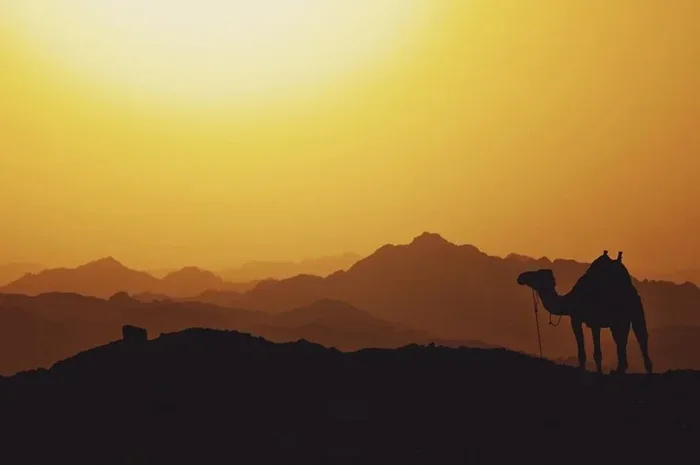 Excursion De 7 Dias Desde Marrakech a El Desierto De Agafay