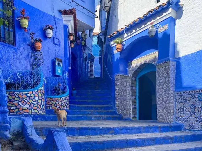 Marrakech to Chefchaouen Tour with Hotel Pickup