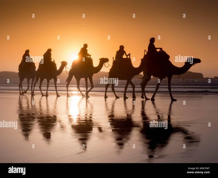 Tangier to Asilah Tour with Camel Trek