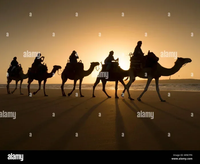 Tangier to Asilah Tour with Camel Trek