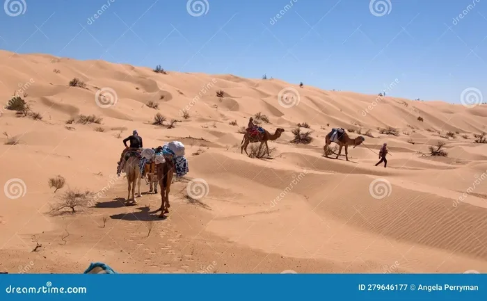 Tangier to Marrakech Tour with Camel Trek