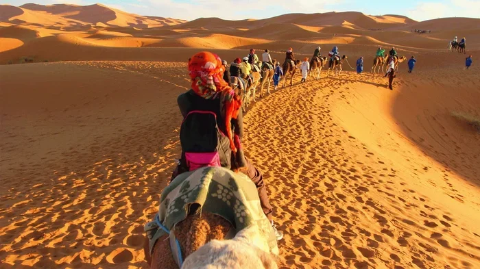 Casablanca to Ouarzazate Tour with Hotel Pickup