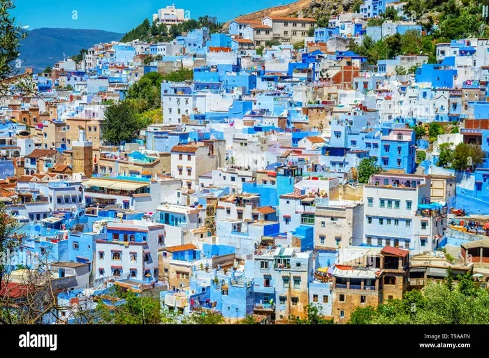 Chefchaouen Day Trip from Fes Reviews