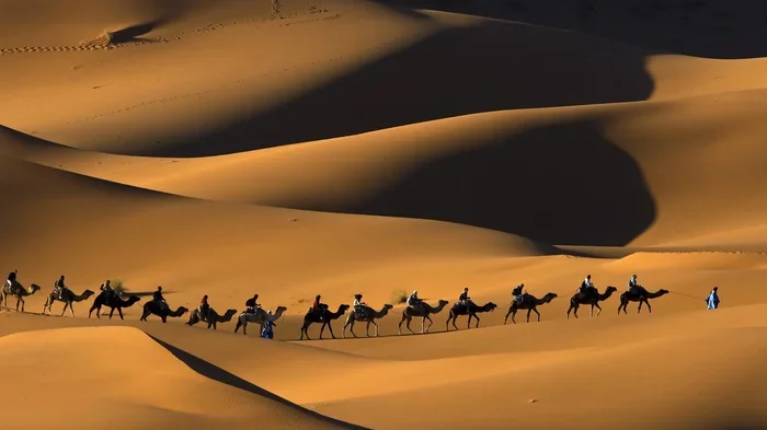 Marrakech to Zagora 12 Day Tour
