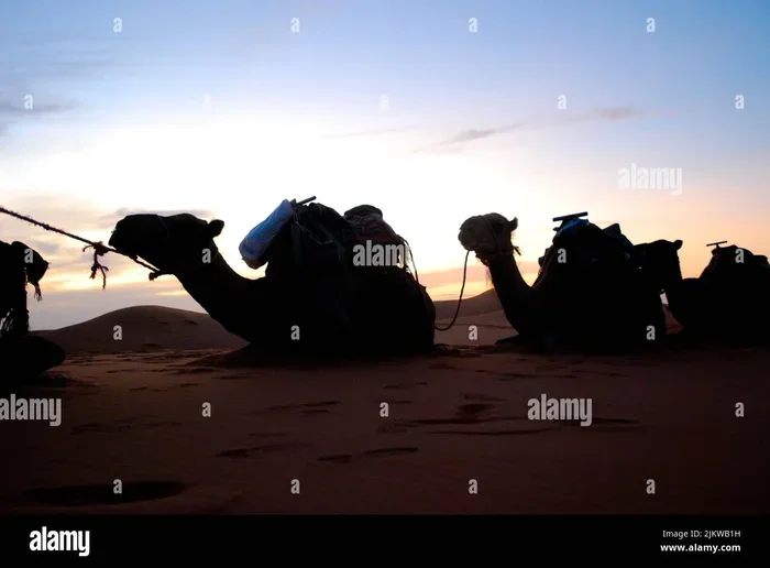 Marrakech to Zagora 11 Day Tour
