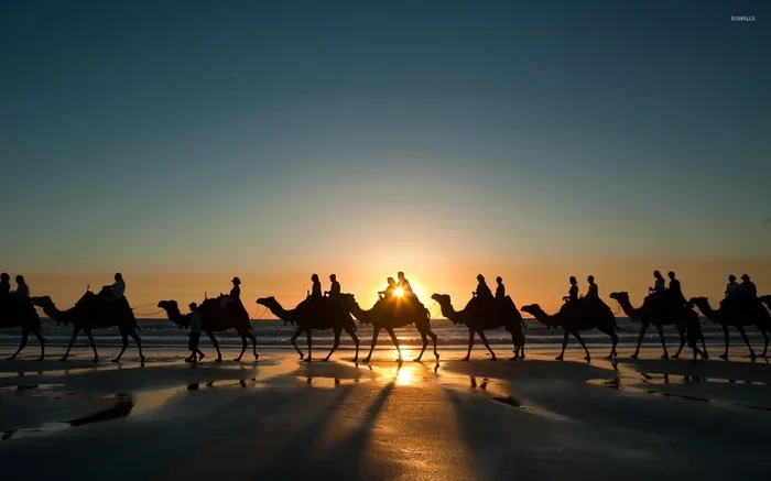 Marrakech to Zagora 11 Day Tour