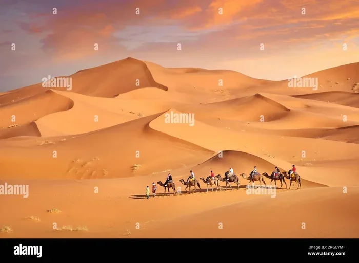 Marrakech to Merzouga 1 Day Tour