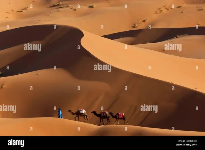 Marrakech to Merzouga 1 Day Tour