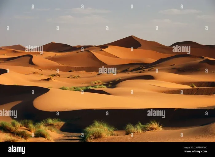1 Days Tour from Marrakech to Erg Chebbi