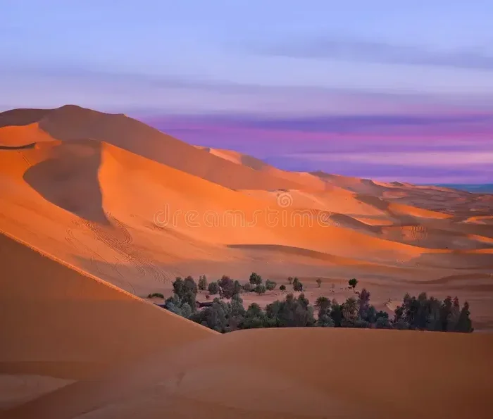 Excursion De 2 Dias Desde Fez a Erg Chebbi