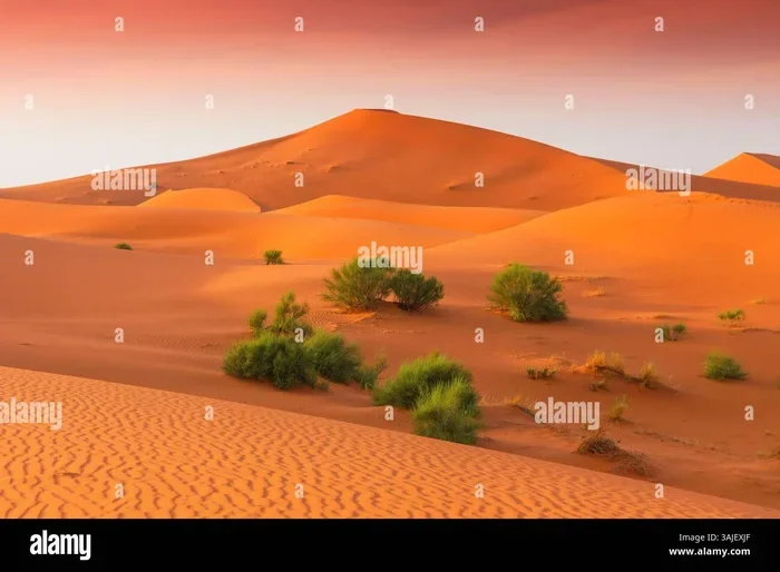 Excursion De 3 Dias Desde Tanger a Erg Chebbi