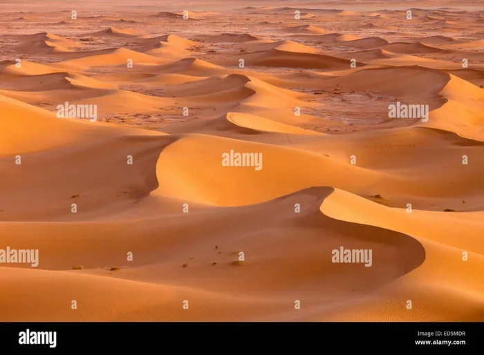 8 Days Tour from Marrakech to Erg Chegaga
