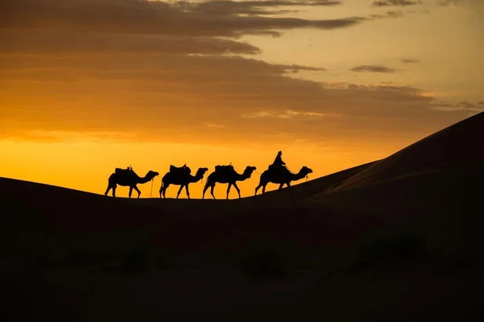 Marrakech to Erg Chegaga 12 Day Tour