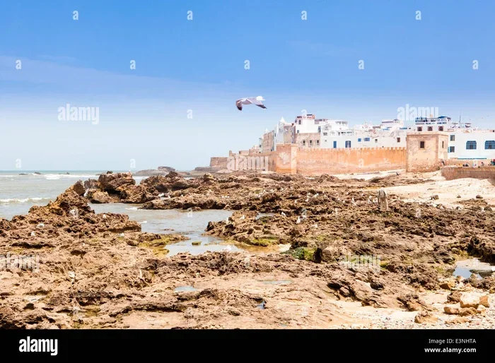 Tour Di 2 Giorni Da Marrakech a Essaouira
