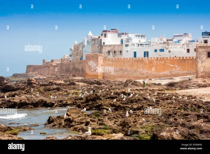 Best Day Trip from Marrakech to Essaouira