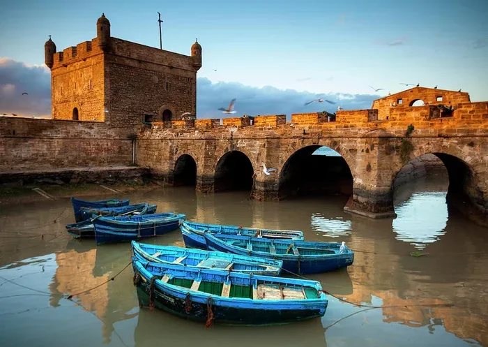 Best Day Trip from Marrakech to Essaouira