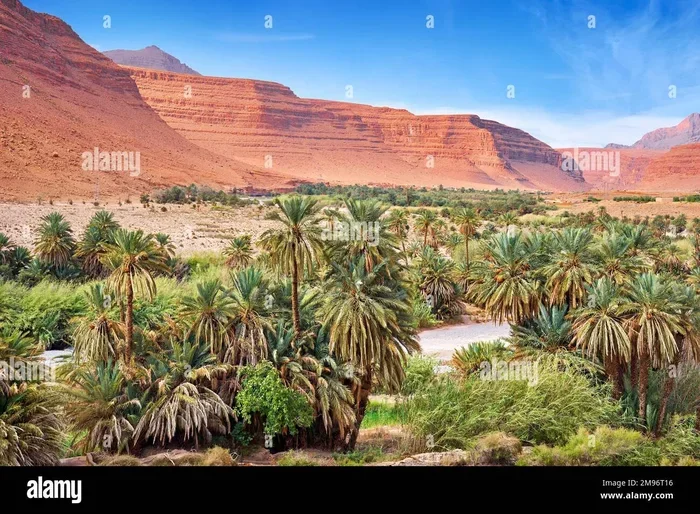 Tour Di 12 Giorni Da Fez a La Valle Dello Ziz