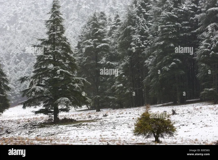 10 Day Tour from Fes to Ifrane