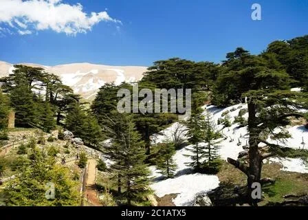 10 Day Tour from Fes to Ifrane
