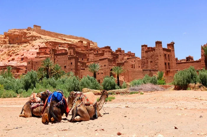 Excursion De 8 Dias Desde Marrakech a Ait Ben Haddou