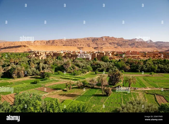 Marrakech to Dades Valley 14 Day Tour