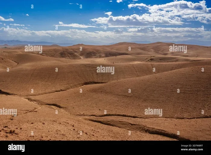 15 Day Tour from Marrakech to Zagora