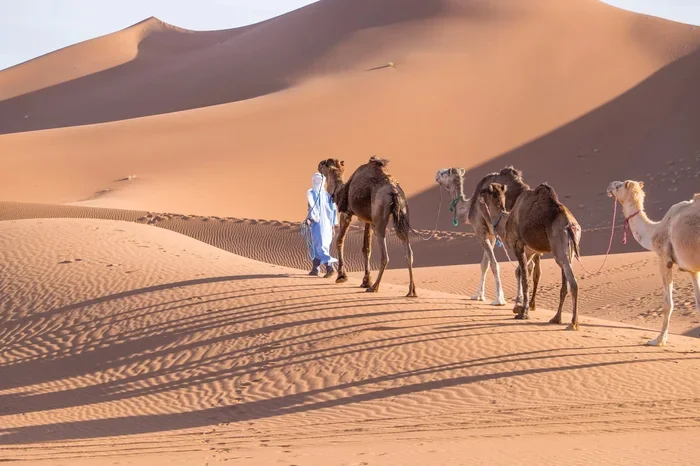 Tour Di 2 Giorni Da Marrakech a Erg Chegaga