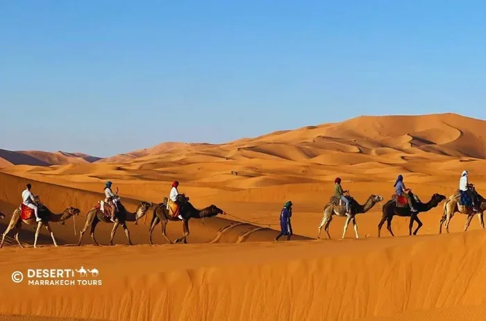 8 Day Tour from Marrakech to Fes