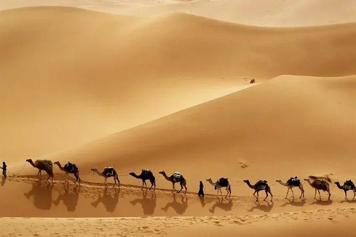 Best 10 Day Tour from Marrakech to Sahara Desert