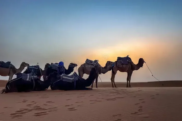 Best 5 Day Tour from Marrakech to Sahara Desert