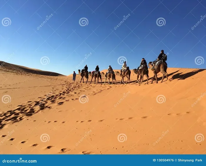 Private 14 Day Tour from Marrakech to Sahara Desert