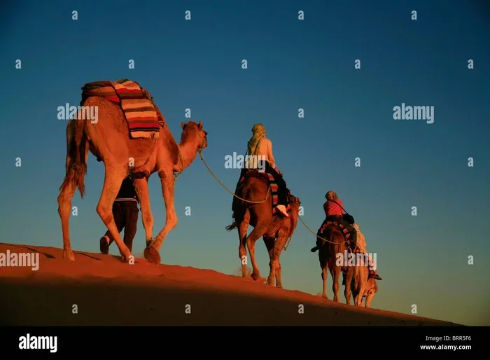 7 Days Tour from Marrakech to Sahara Desert