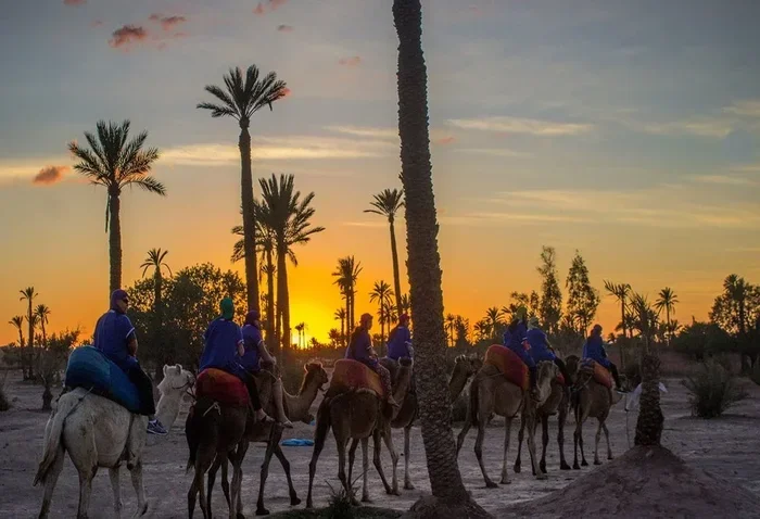 Private 8 Day Tour from Marrakech to Sahara Desert
