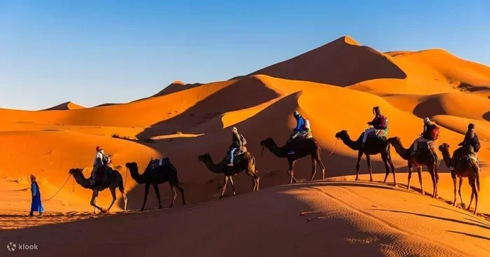 1 Days Tour from Marrakech to Erg Chebbi