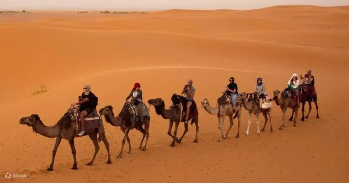 14 Days Tour from Marrakech to Erg Chebbi