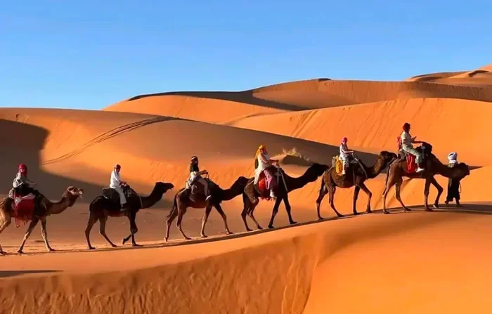 8 Days Tour from Marrakech to Fes