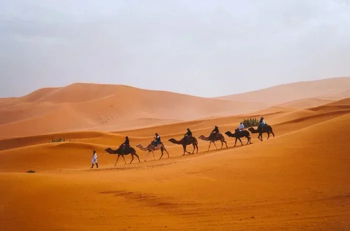 9 Days Tour from Marrakech to Fes