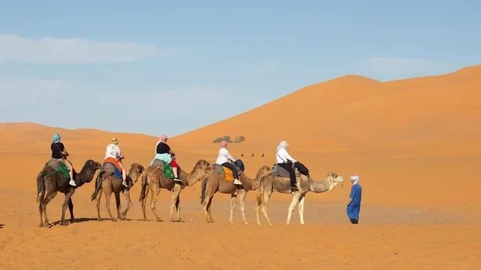 8 Days Tour from Marrakech to Fes