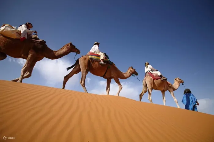 Tour 15 Dias Desde Marrakech a Fez