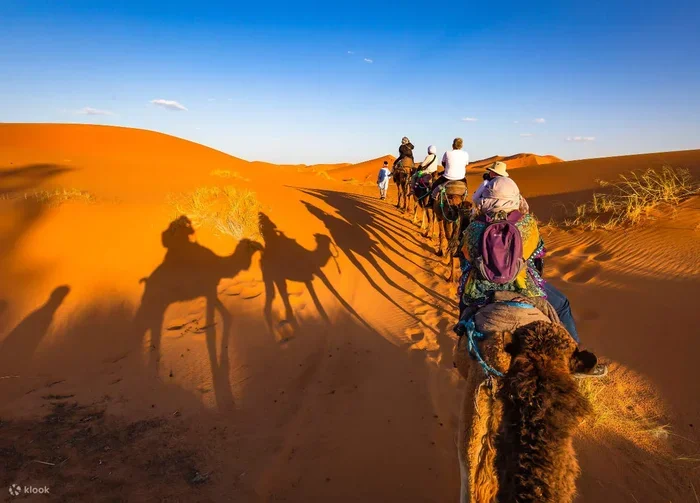 9 Day Tour from Marrakech to Merzouga