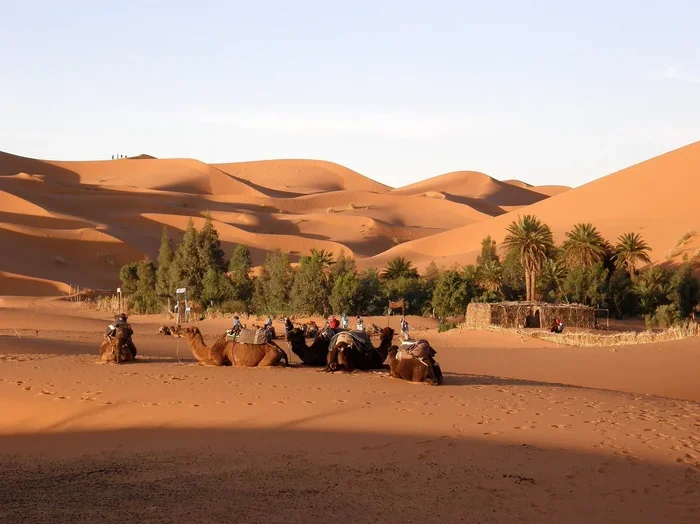 Private 14 Day Tour from Marrakech to Zagora