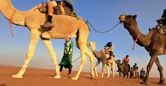 Tour Di 11 Giorni Da Marrakech a Zagora