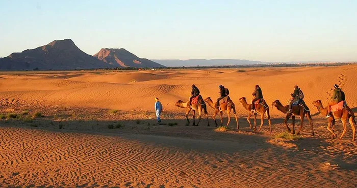 10 Day Tour from Marrakech to Zagora