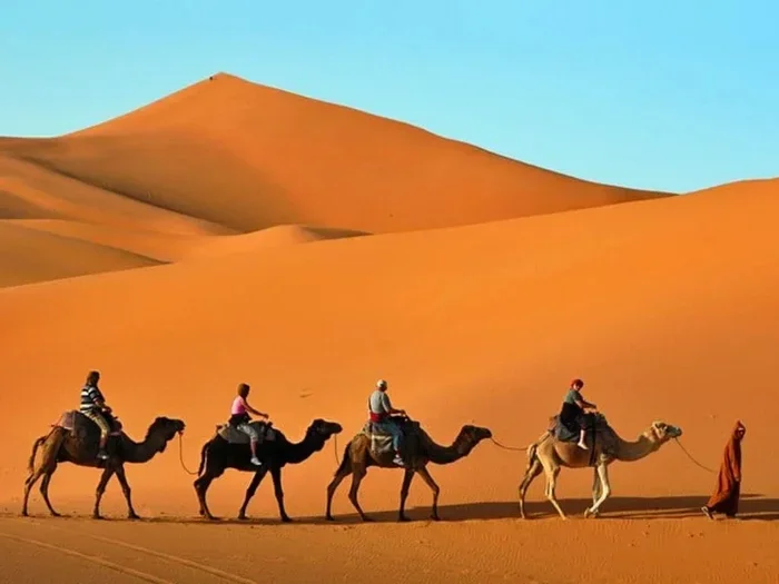 13 Day Tour from Marrakech to Zagora