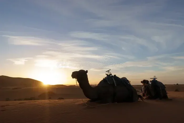 Excursion De 4 Dias Desde Marrakech a Merzouga