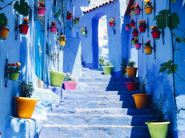 Best 11 Day Tour from Fes to Chefchaouen