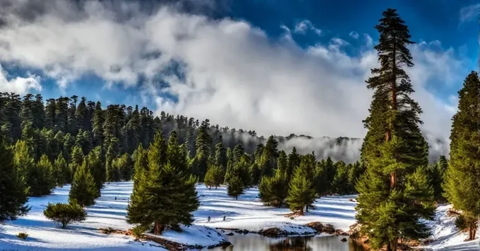 Fes to Azrou Cedar Forest 12 Day Tour