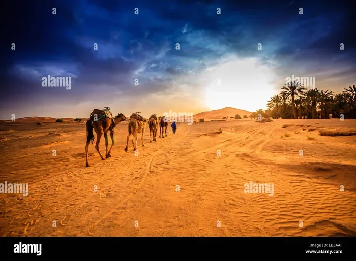 Tour Di 13 Giorni Da Tangeri a Merzouga