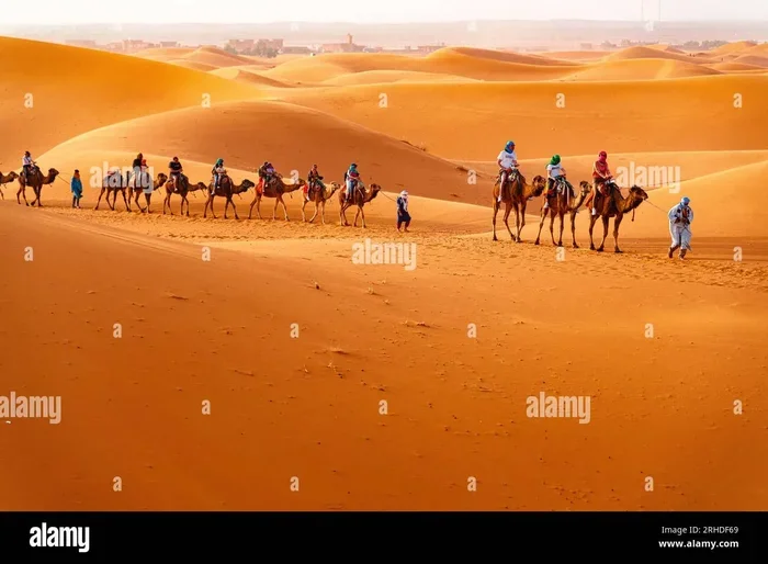 Best 11 Day Tour from Marrakech to Fes
